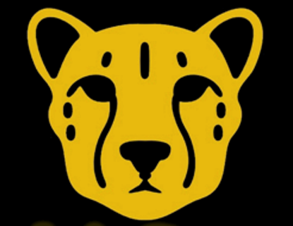 Sabi Sands Lodges Reservations